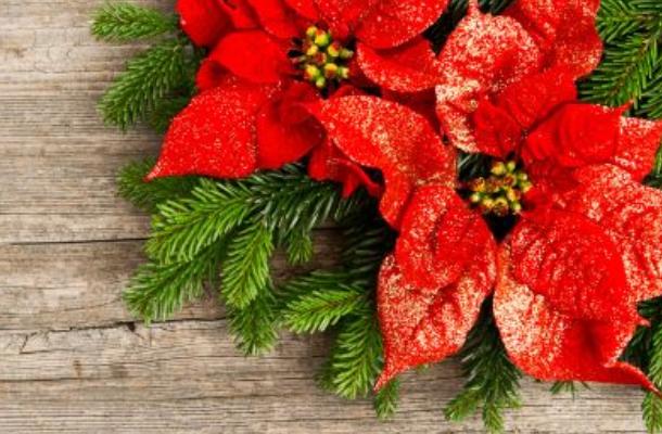 Airc Stella Di Natale 2020.Natale In Piazza E Non Solo Tanti Eventi Per Le Feste A Villa Cortese Legnanonews