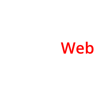 VareseWeb Srl